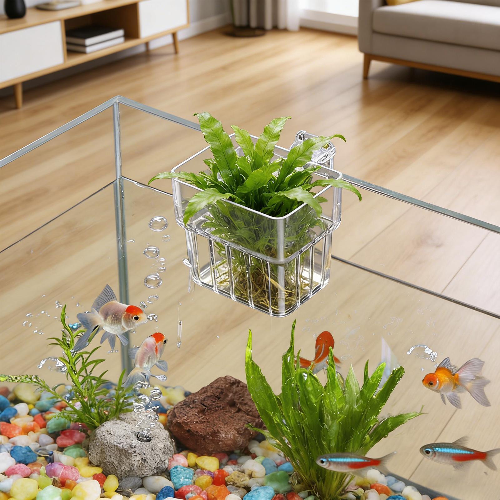 Aquarium Plant Live - Transparent Hangable Aquarium Plant Holder Pot
