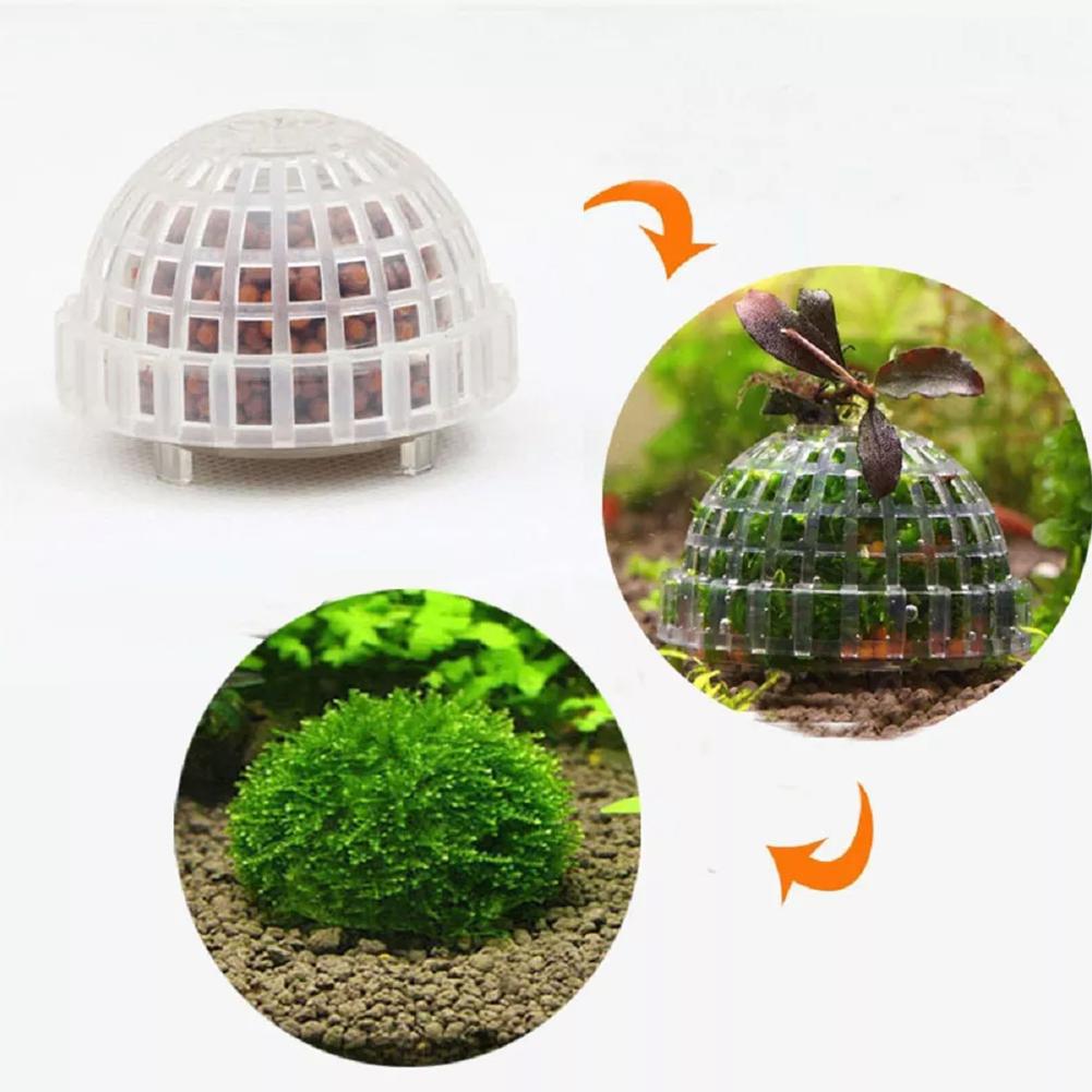 1pc Aquarium Moss Ball Holders - Planted Aquarium Models 评论和价格