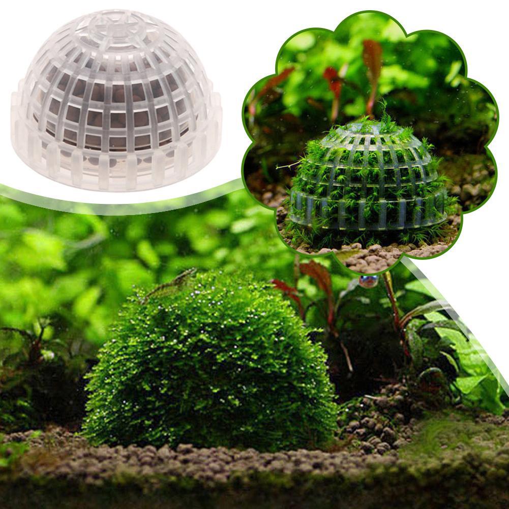 1pc Aquarium Moss Ball Holders - Planted Aquarium Models 评论和价格