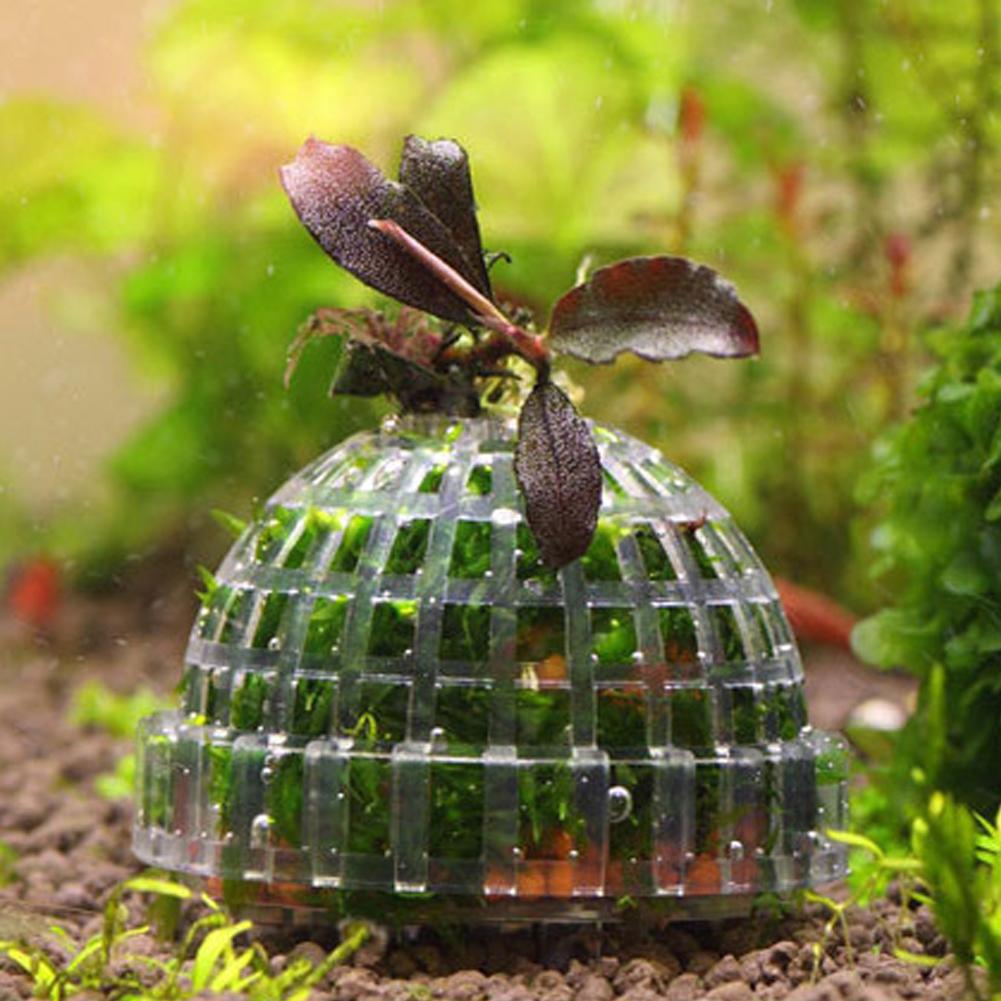 1pc Aquarium Moss Ball Holders - Planted Aquarium Models 评论和价格
