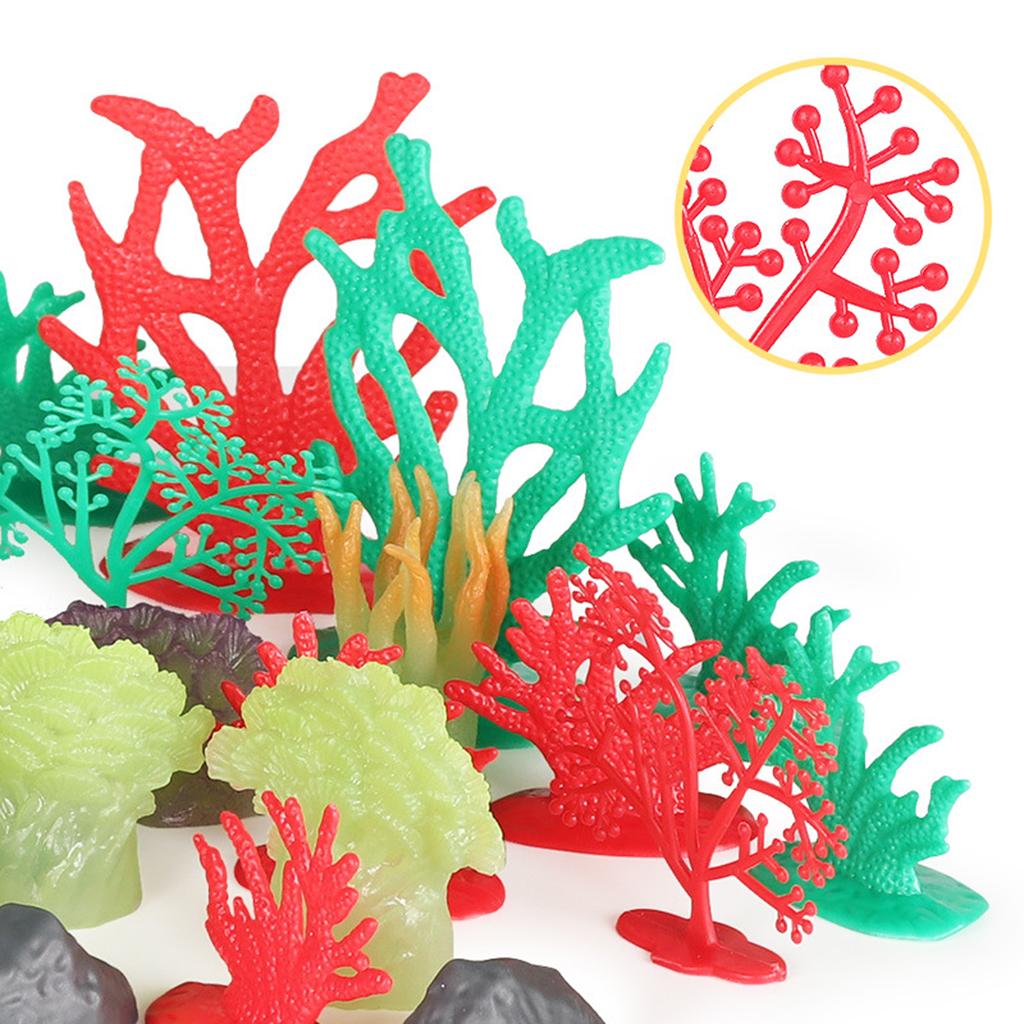 Set of 32 Aquarium Fish Tank S - Planted Aquarium Models 评论和价格