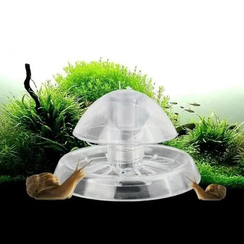 2026 New 6/8CM Clear Plastic S - Aquarium Planted Fish 评论和价格