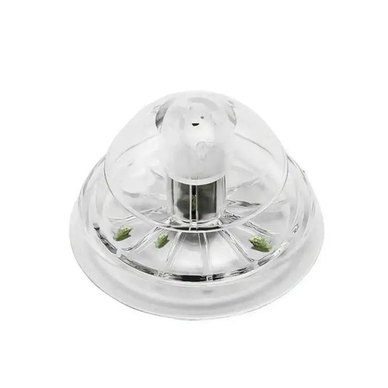 2026 New 6/8CM Clear Plastic S - Aquarium Planted Fish 评论和价格