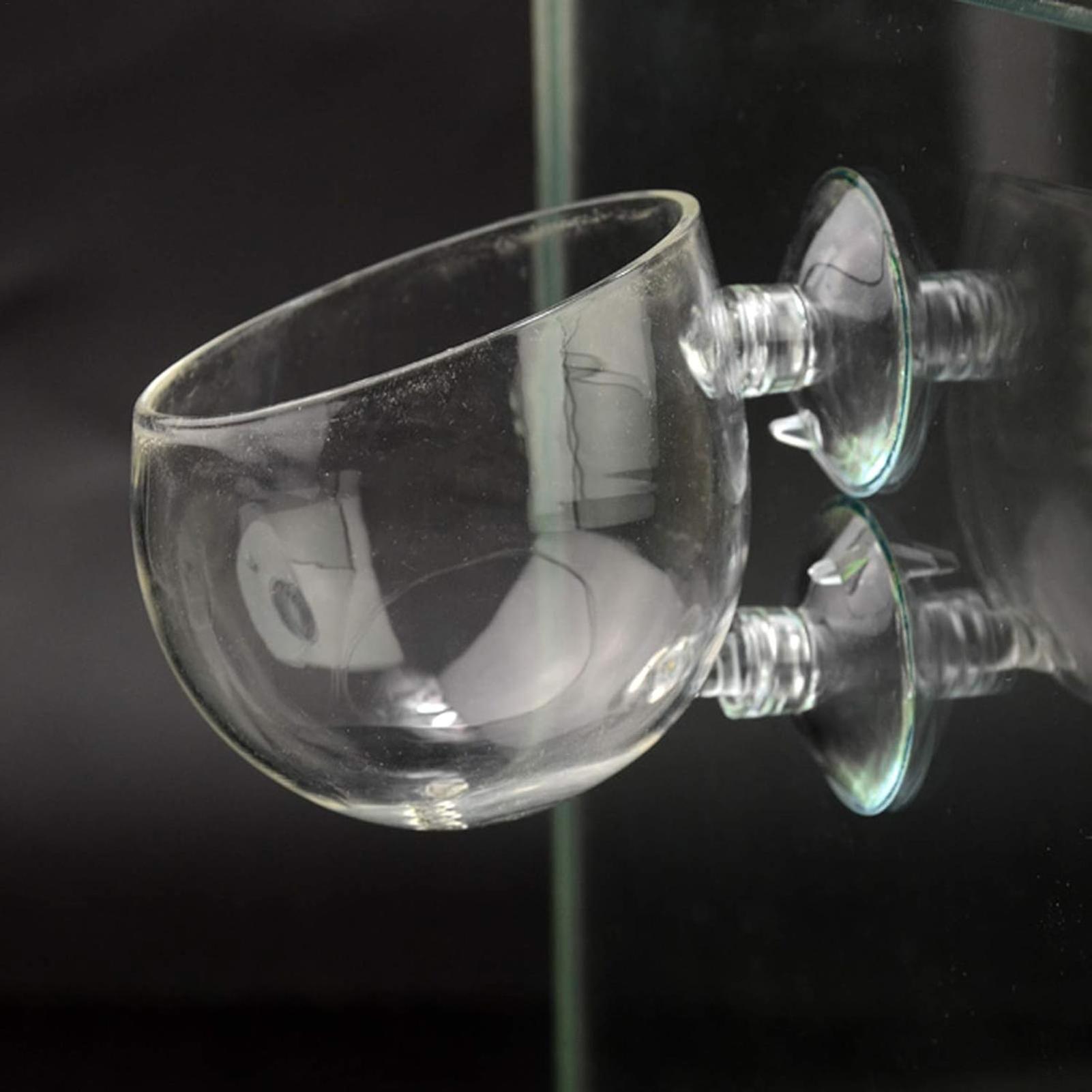 Aquarium Plant Holder Glass Aq - Aquarium Plant Live 评论和价格