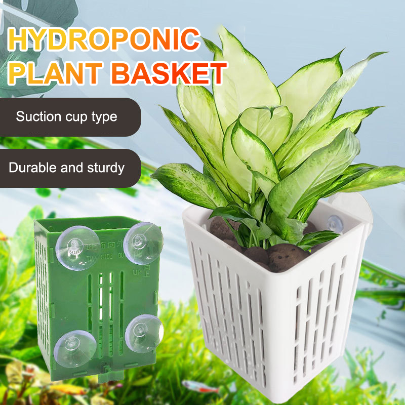 Hanging Suction Cup Hook Aquar - Aquarium Plant Holder 评论和价格