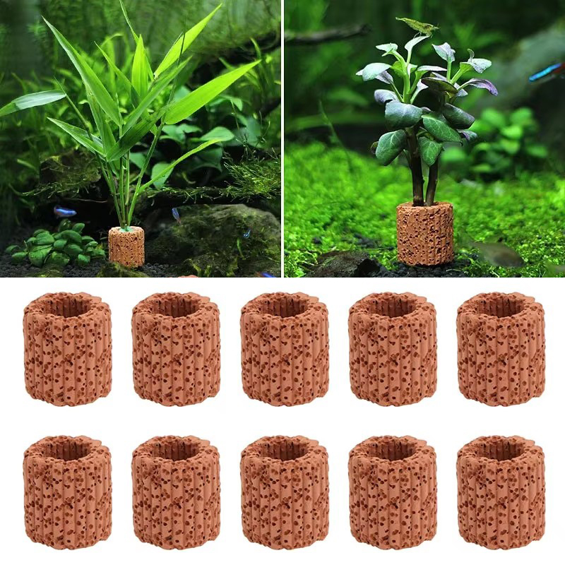Aquatic Plant Fixed Ring for A - Aquarium Plant Live 评论和价格