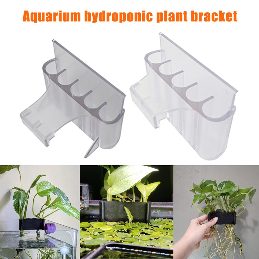 4.5/6.5cm Aquarium Plant Holde - Aquarium Planted Fish 评论和价格