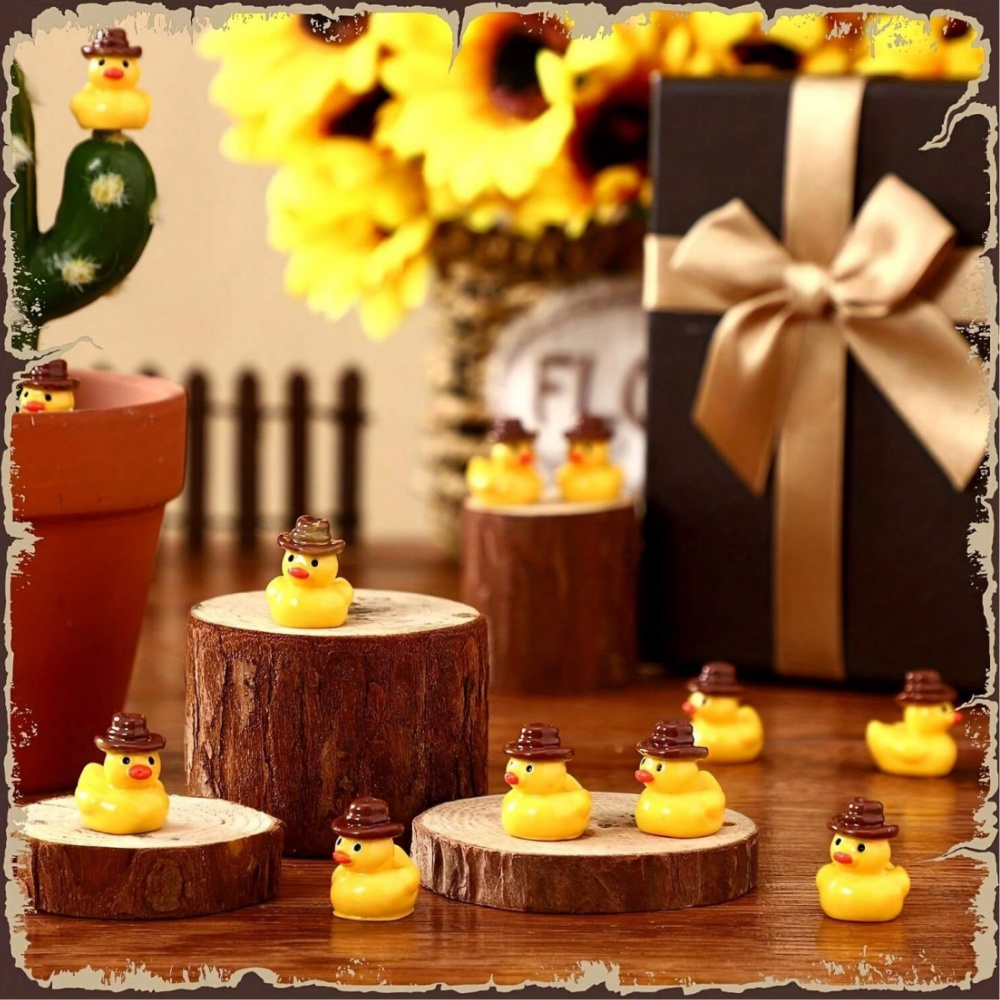 50Pcs Mini Resin Cowboy Ducks  - Aquarium Planting Ideas 评论和价格