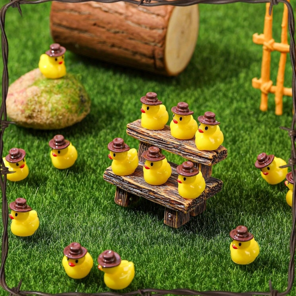 50Pcs Mini Resin Cowboy Ducks  - Aquarium Planting Ideas 评论和价格