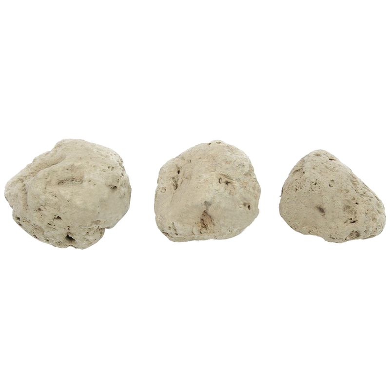 12Pcs Floating Real Rocks Aqua - Planted Aquarium Models 评论和价格