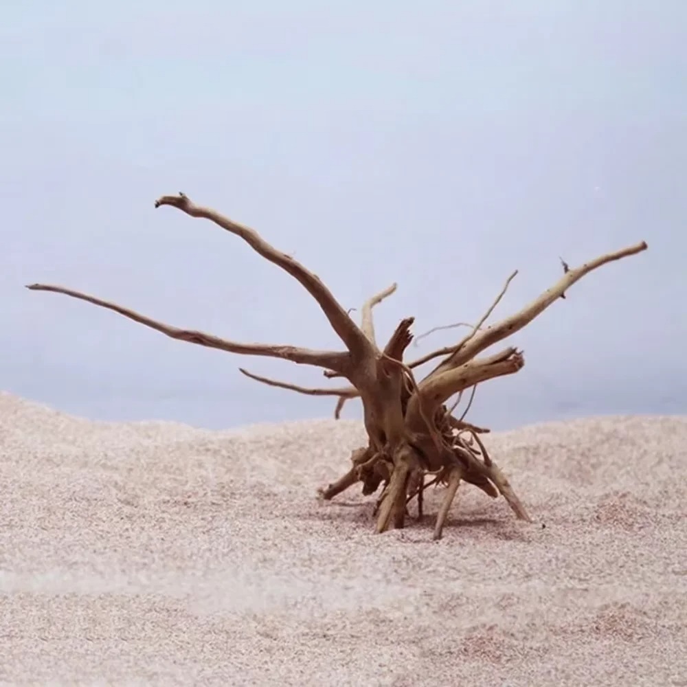 15-20CM Natural Driftwood Aqua - Aquarium Planting Ideas 评论和价格