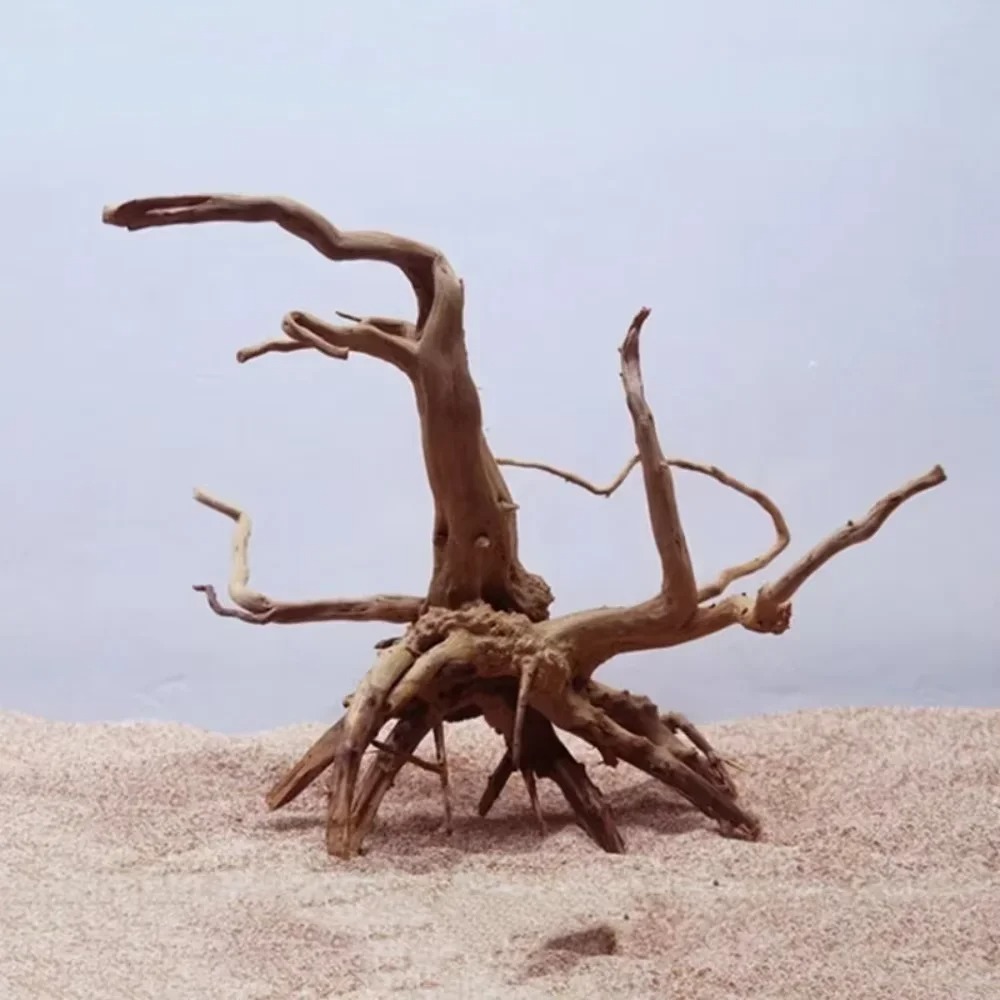 15-20CM Natural Driftwood Aqua - Aquarium Planting Ideas 评论和价格
