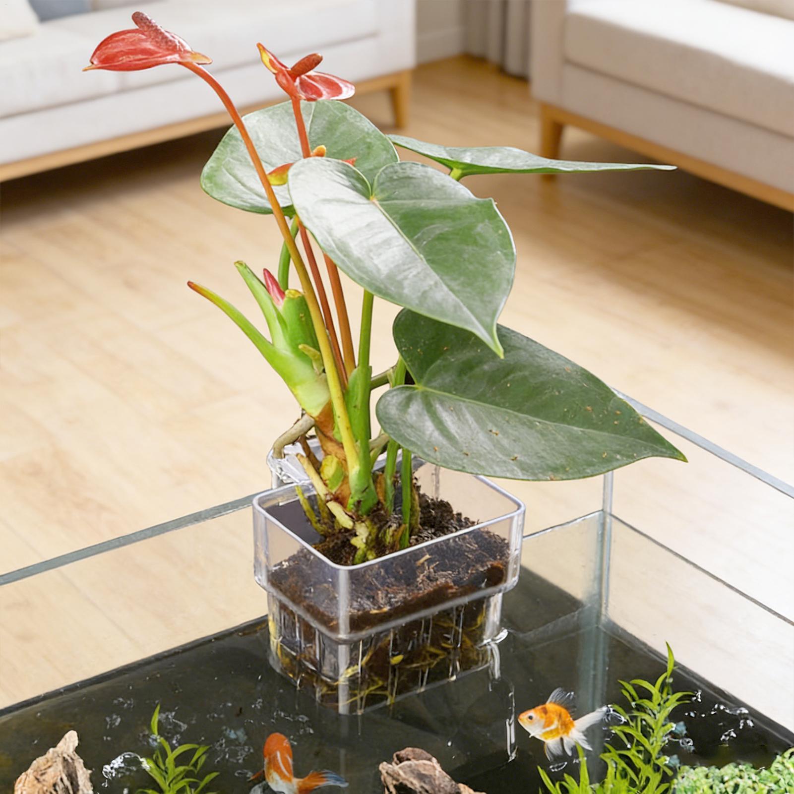 Fish Tank Fixed Basket Wall mo - Aquarium Plant Holder 评论和价格