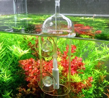 VIV Do Device Aquarium Cylinde - Aquarium Plant Live 评论和价格