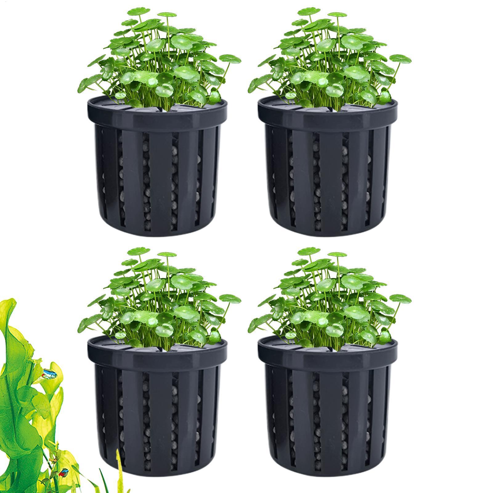 4 Pieces Aquarium Planter Pot  - Aquarium Plant Live 评论和价格
