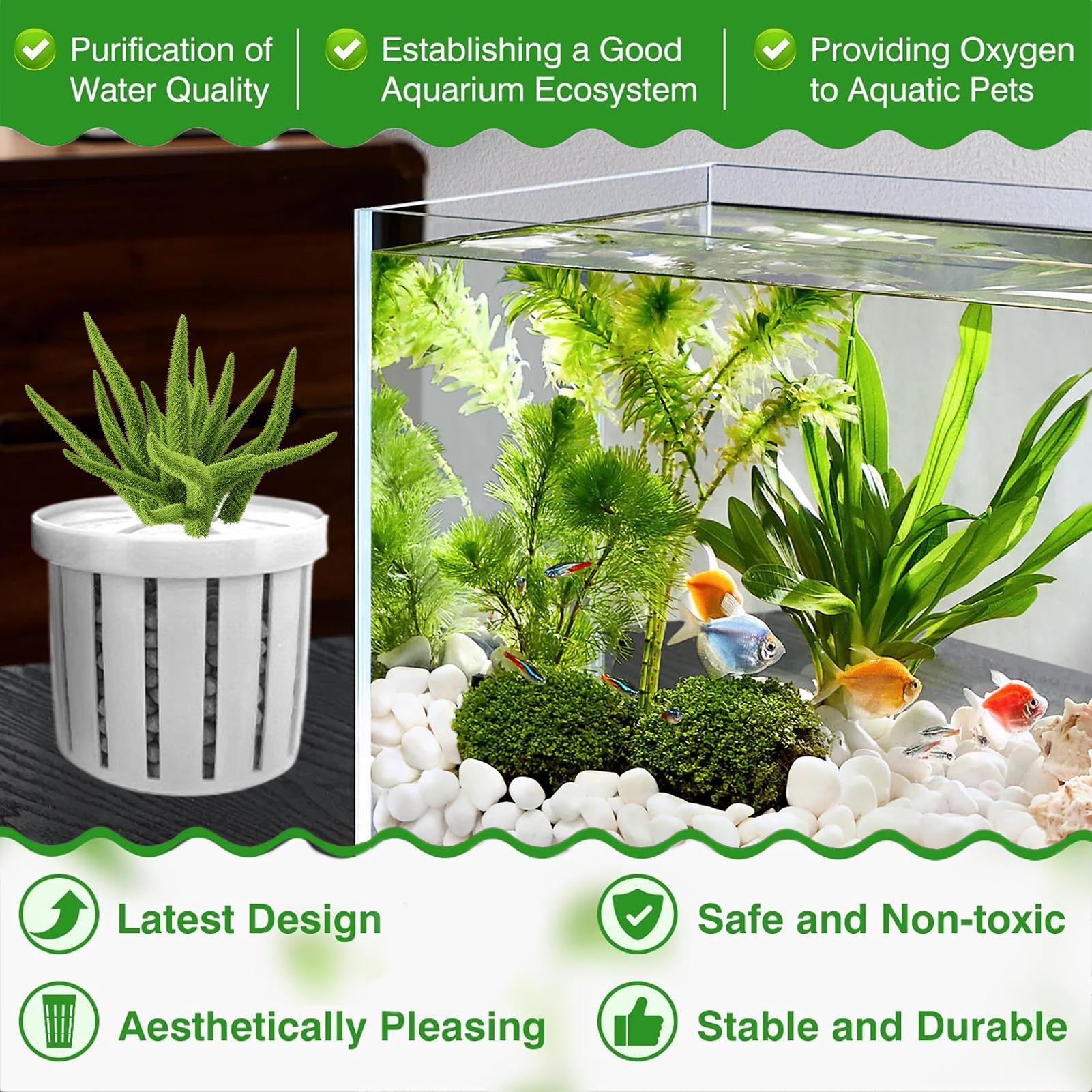 4 Pieces Aquarium Planter Pot  - Aquarium Plant Live 评论和价格