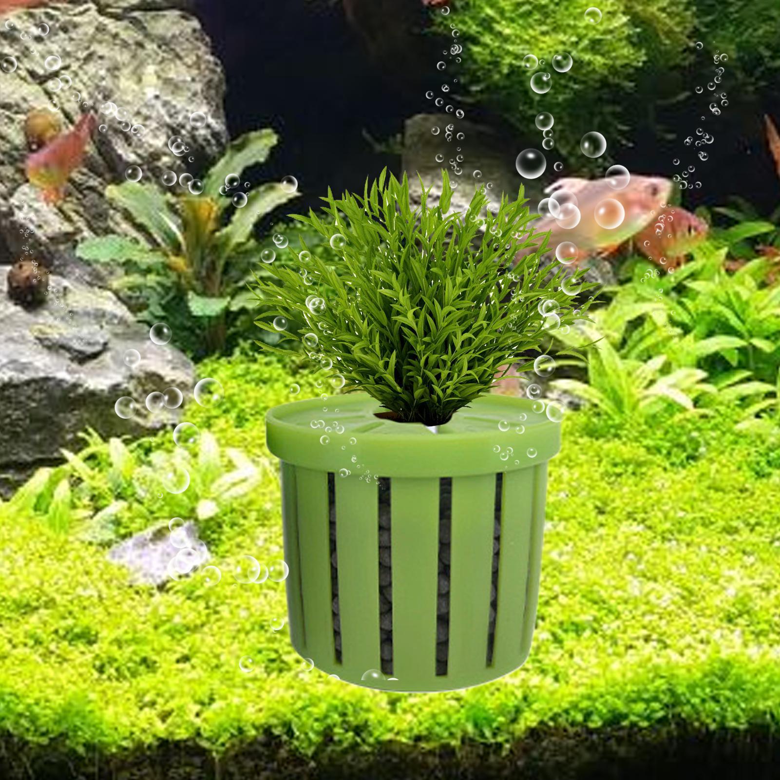 4 Pieces Aquarium Planter Pot  - Aquarium Plant Live 评论和价格