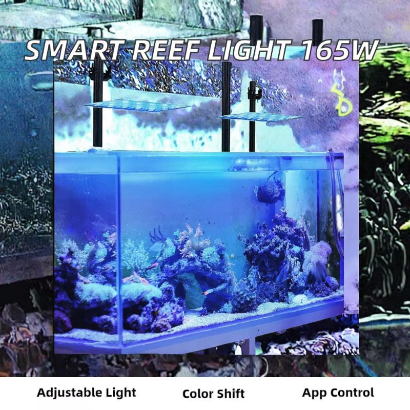 165W Dimmable WiFi APP Control - Planted Aquarium Models 评论和价格