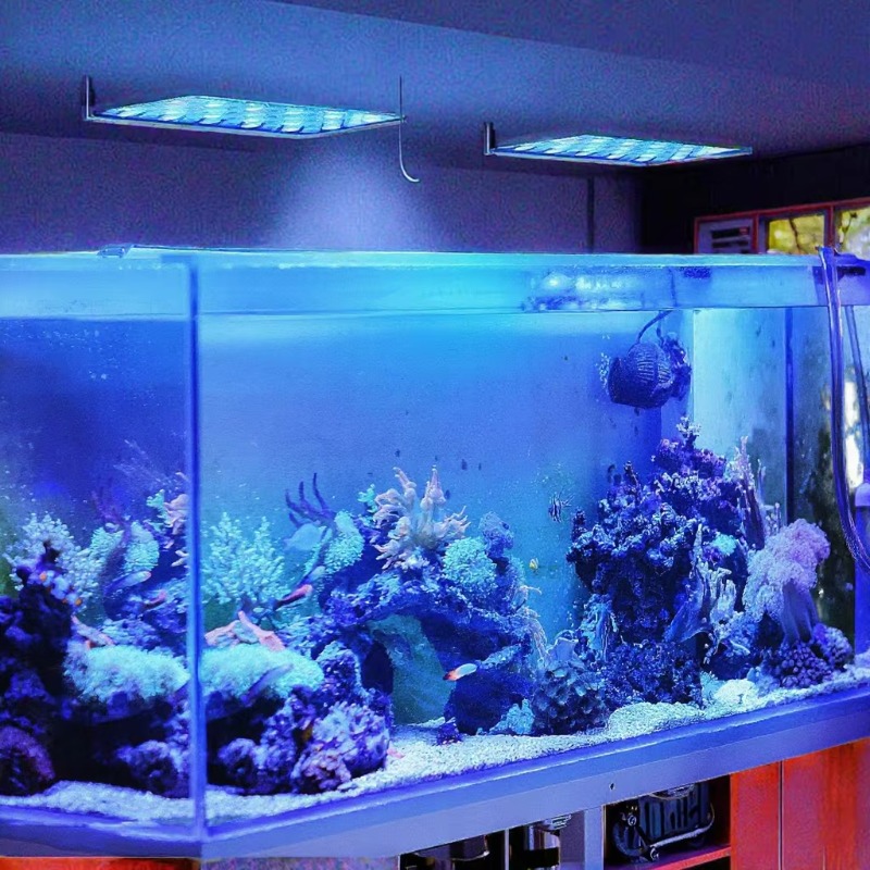 165W Dimmable WiFi APP Control - Planted Aquarium Models 评论和价格