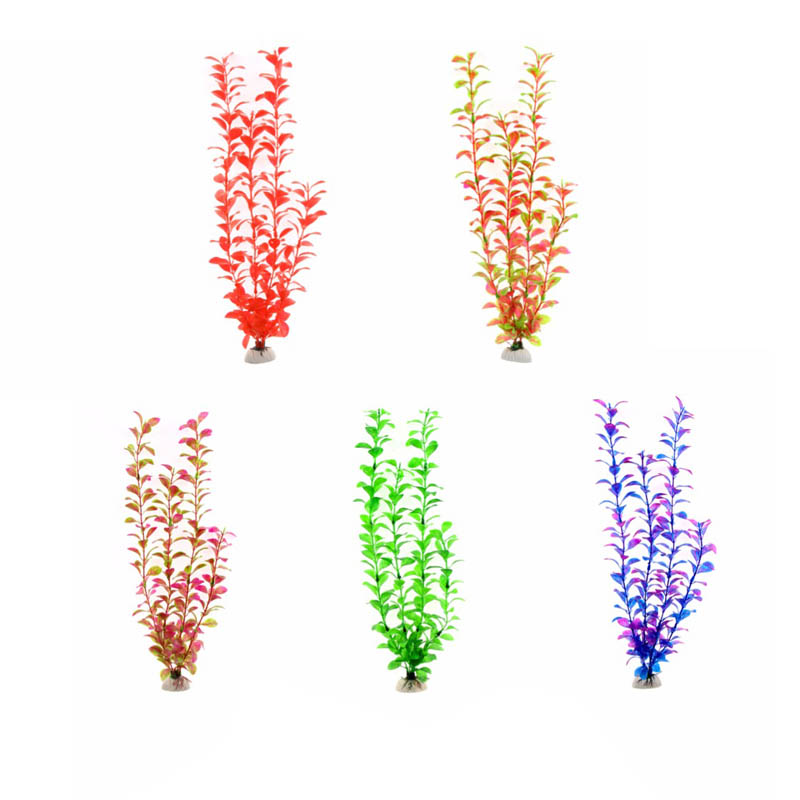 Ornament Aquarium Accessories  - Aquarium Plant Live 评论和价格