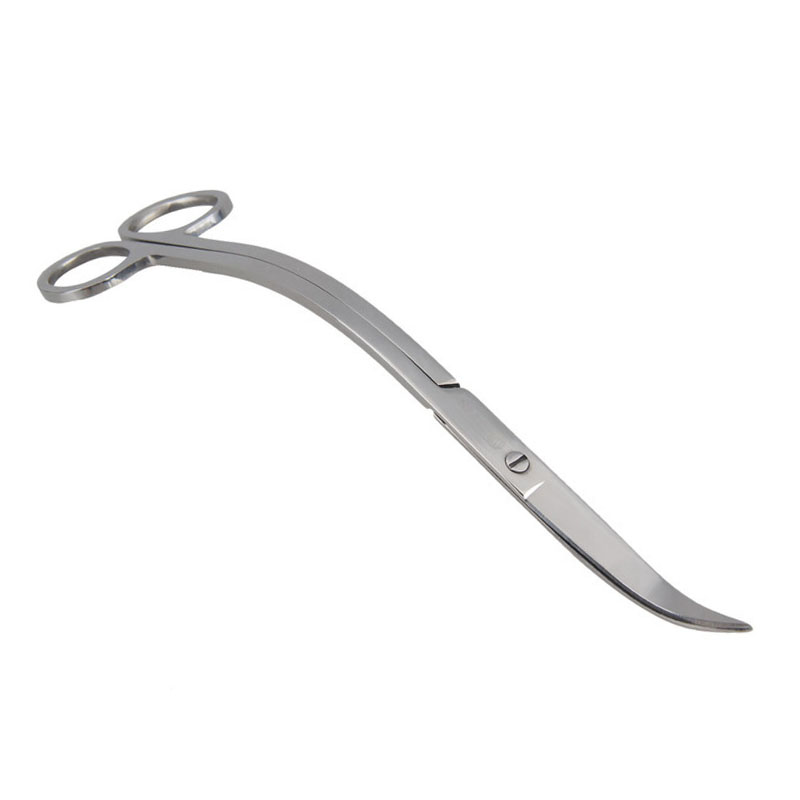 Aquarium Scissor Tools Fish Ta - Aquarium Plant Holder 评论和价格