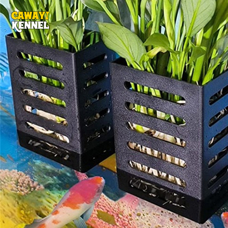 Pet Fish Tank Decorations Aqua - Aquarium Plant Live 评论和价格