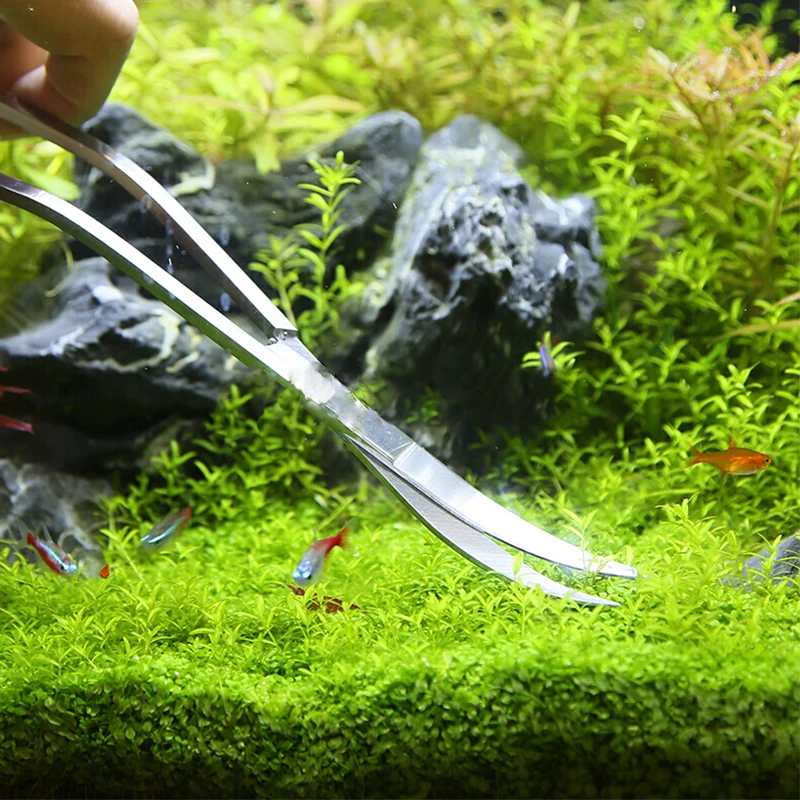 Aquarium Scissor Tools Fish Ta - Aquarium Plant Holder 评论和价格
