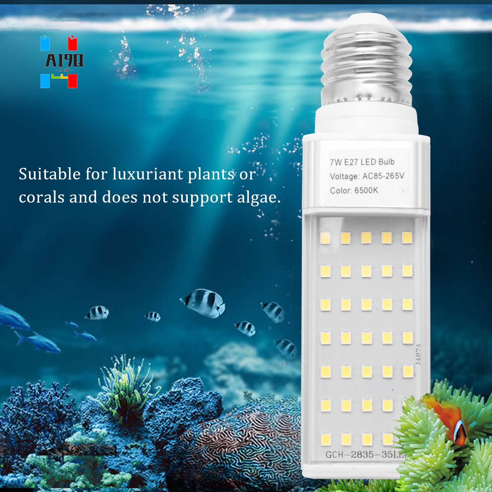 A19Q-Fishpod White Plant Aquar - Planted Aquarium Materials 评论和价格
