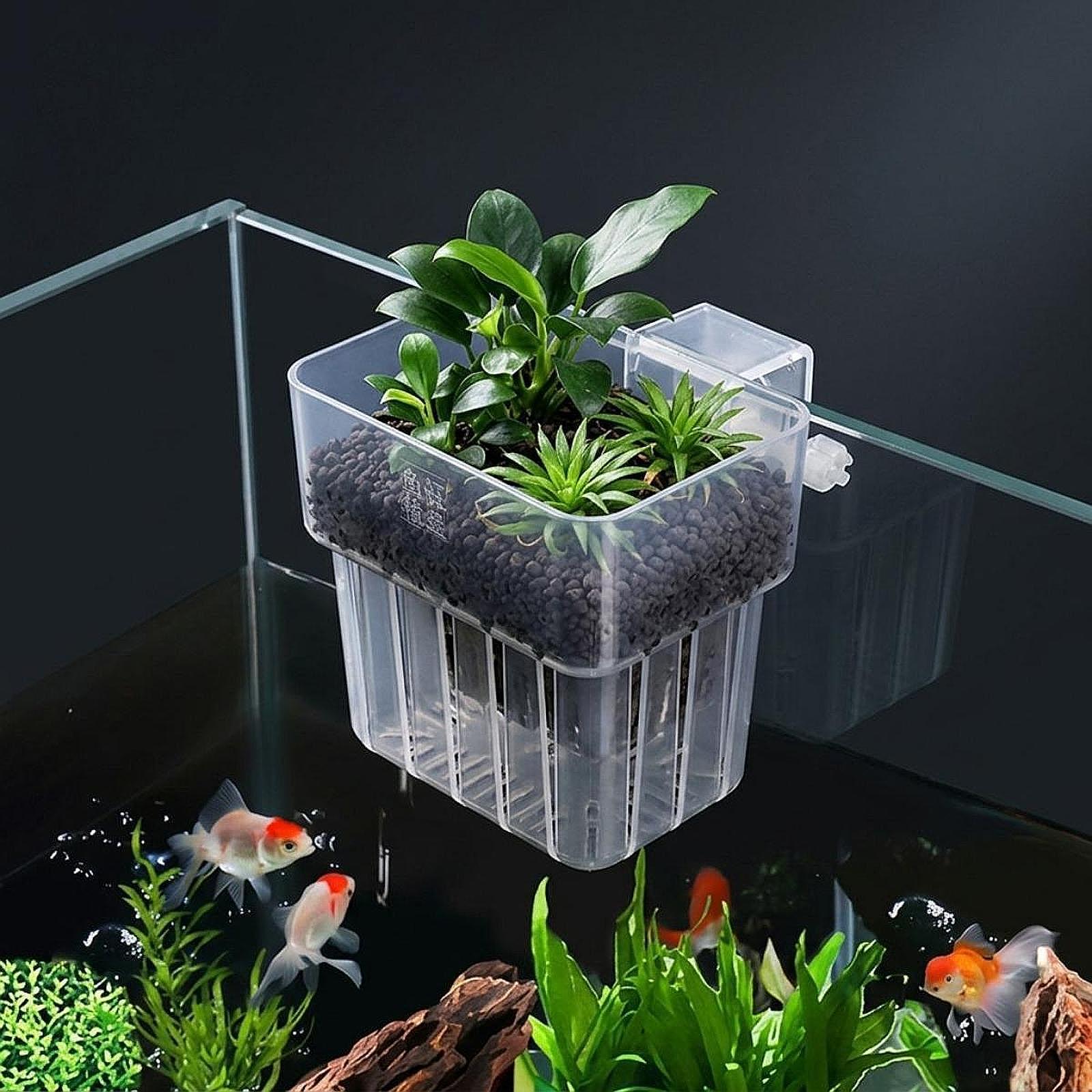 Aquarium Plant Holder Adjustab - Planted Aquarium Materials 评论和价格