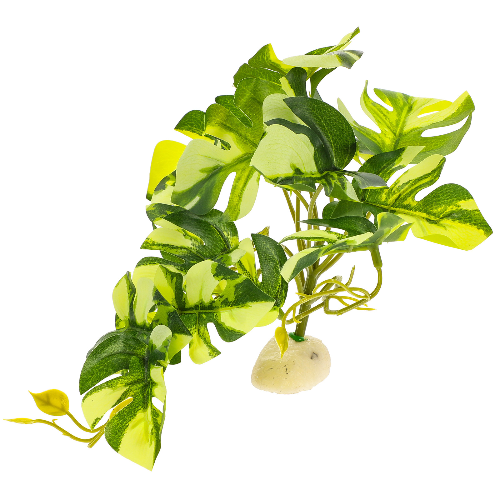 Lifelike Resin Reptile Terrari - Aquarium Planted Fish 评论和价格