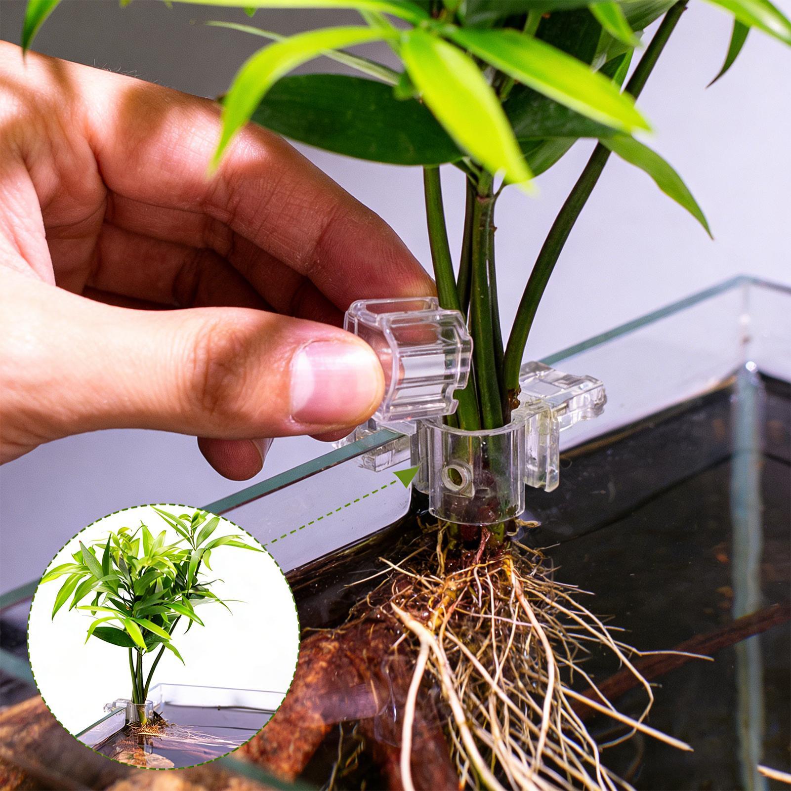 6pcs Aquarium Plant Holders Cl - Aquarium Plant Live 评论和价格