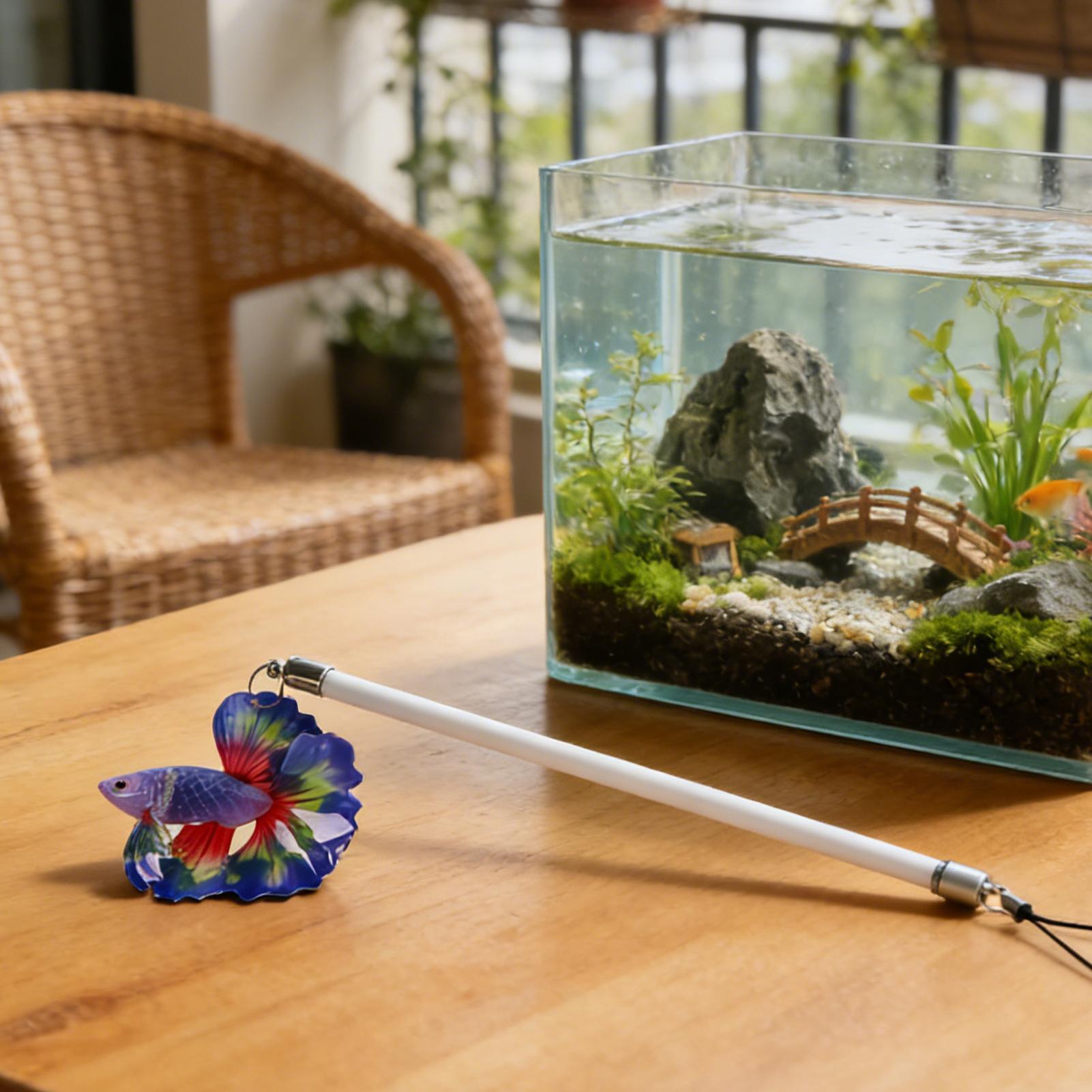 Fish Training Wand For Betta I - Planted Aquarium For Beginners 评论和价格