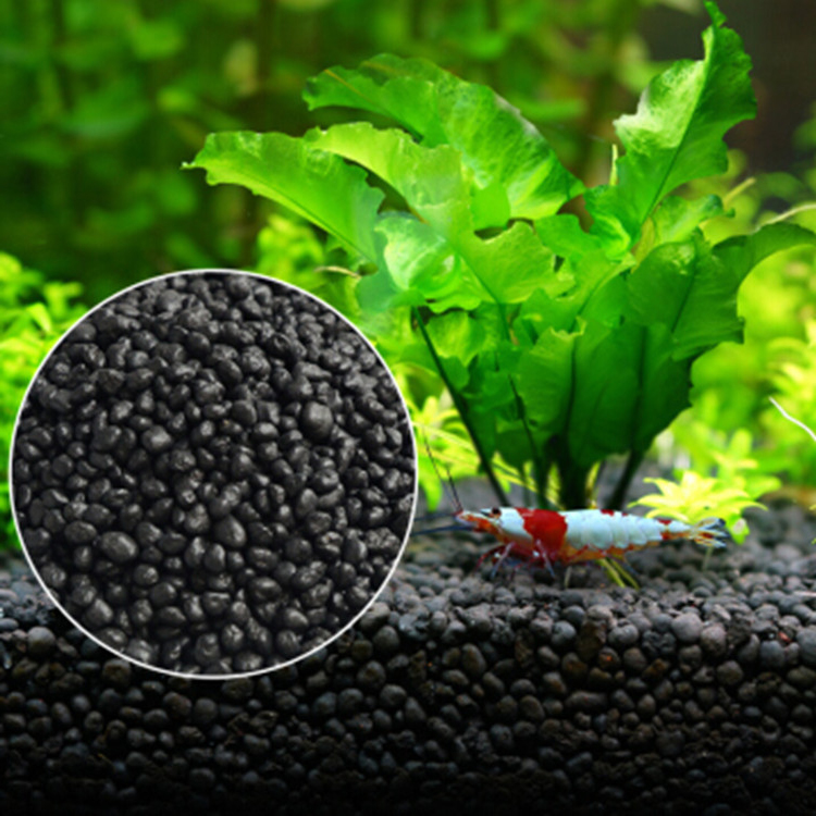 Aquarium Plant Seeds Soil Fish - Aquarium Planting Ideas 评论和价格