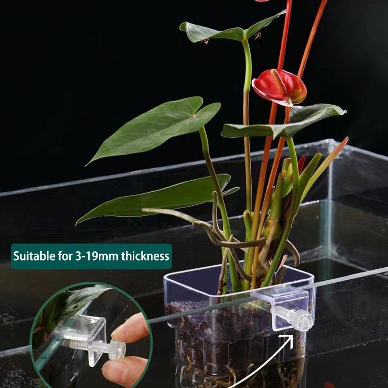 Multifunctional Fish Aquarium  - Aquarium Planted Fish 评论和价格