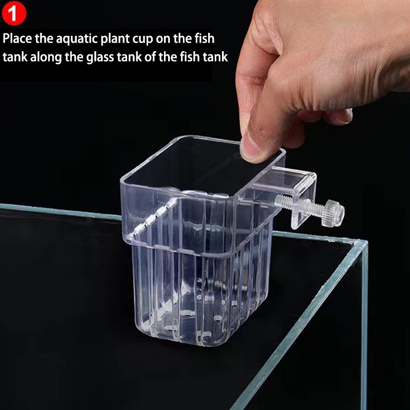 Multifunctional Fish Aquarium  - Aquarium Planted Fish 评论和价格