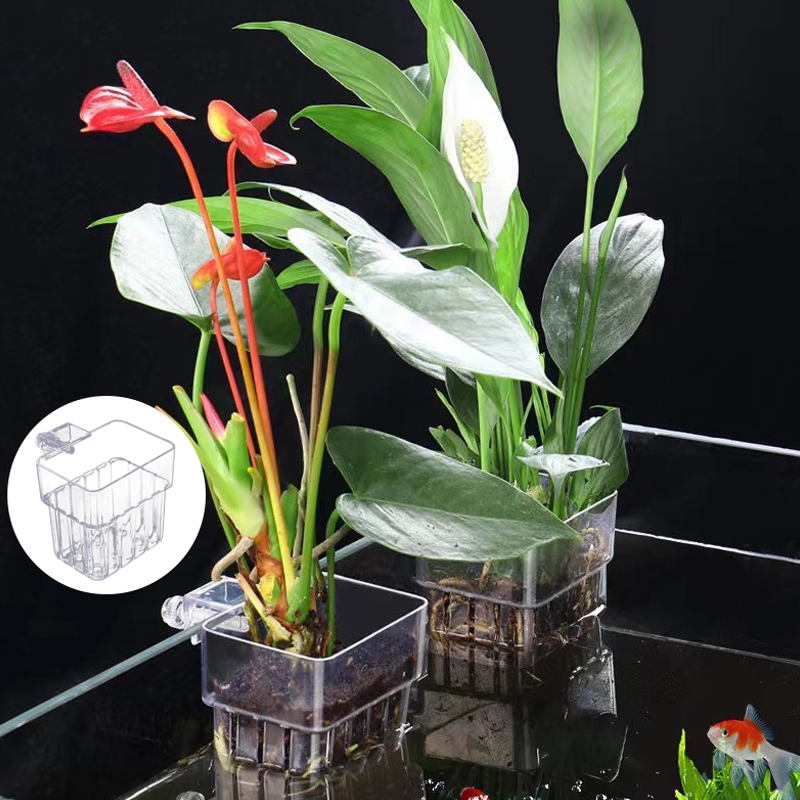 Multifunctional Fish Aquarium  - Aquarium Planted Fish 评论和价格