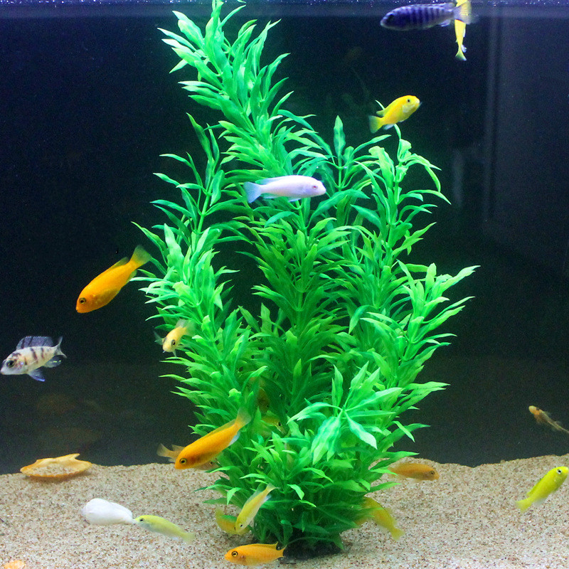50CM Artificial Fish Tank Rare - Aquarium Planting Ideas 评论和价格