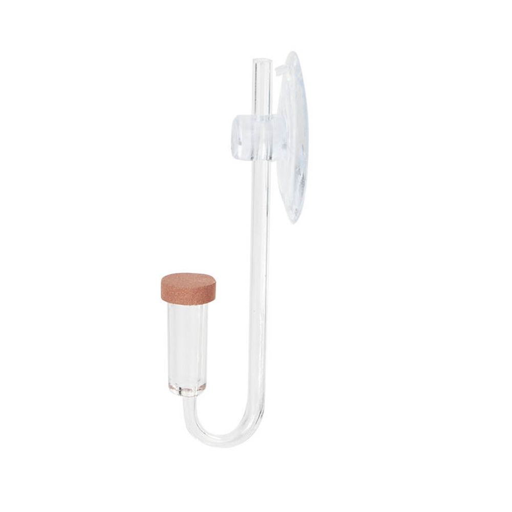 Acrylic Mini Fish Tank Live Pl - Aquarium Plant Live 评论和价格