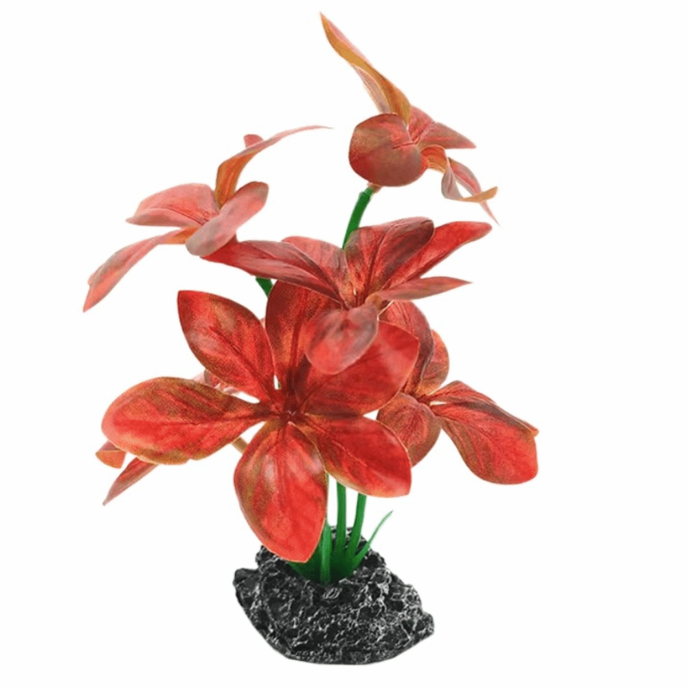 Plastic Material Aquarium Plan - Planted Aquarium Materials 评论和价格