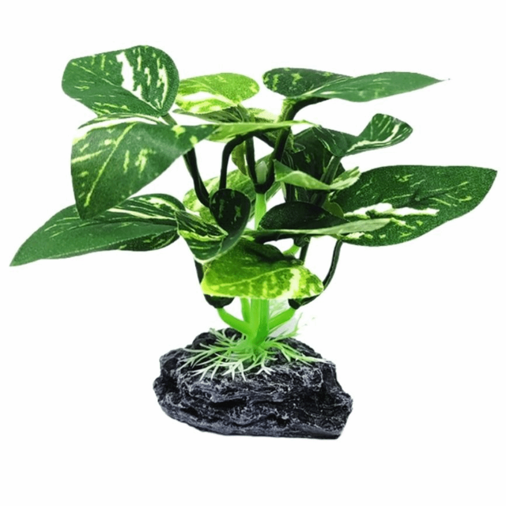 Plastic Material Aquarium Plan - Planted Aquarium Materials 评论和价格