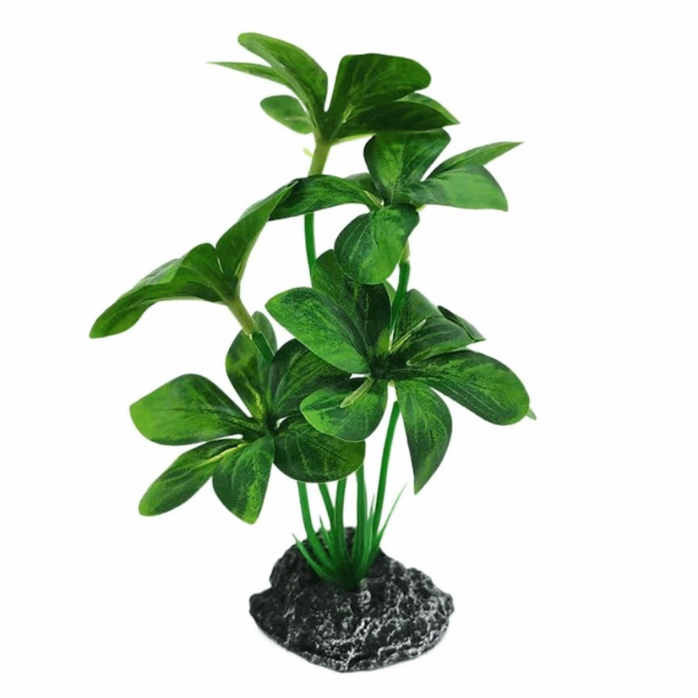 Plastic Material Aquarium Plan - Planted Aquarium Materials 评论和价格