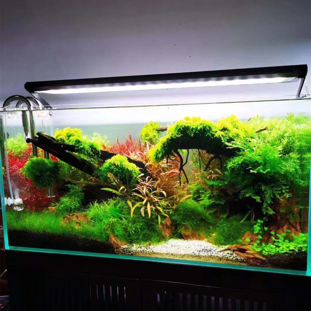 WEEK AQUA P Series Aquarium Fu - Aquarium Plant On Top 评论和价格