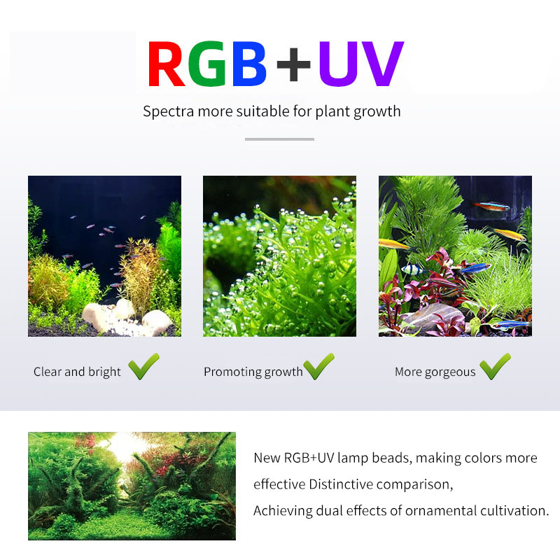 WEEK AQUA P Series Aquarium Fu - Aquarium Plant On Top 评论和价格