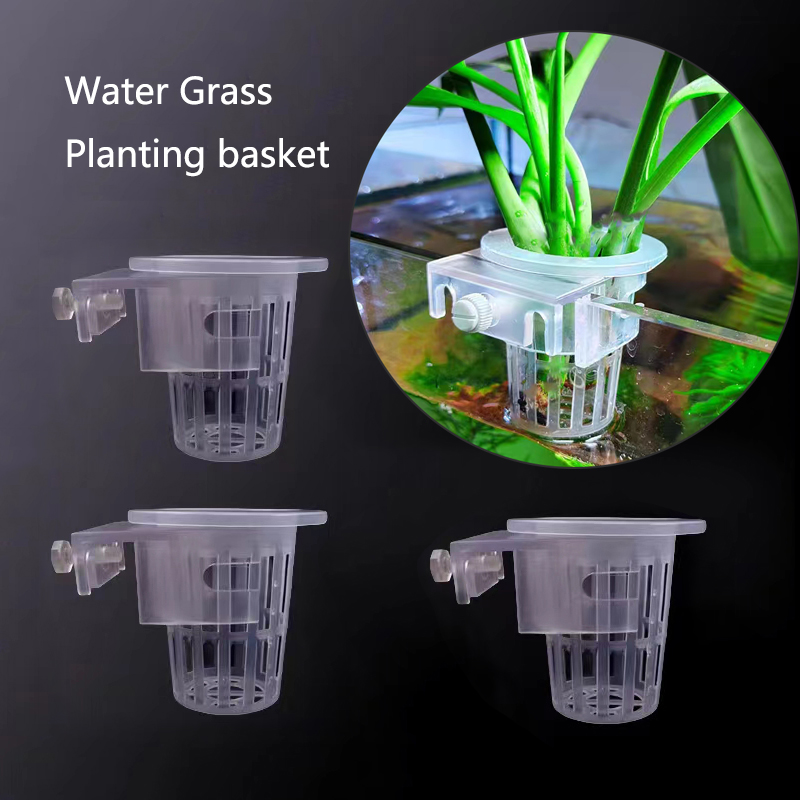 Aquarium Planting Basket Hydro - Aquarium Plant Live 评论和价格