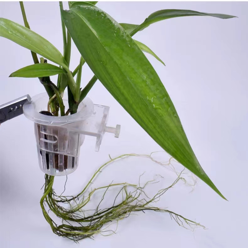 Aquarium Planting Basket Hydro - Aquarium Plant Live 评论和价格