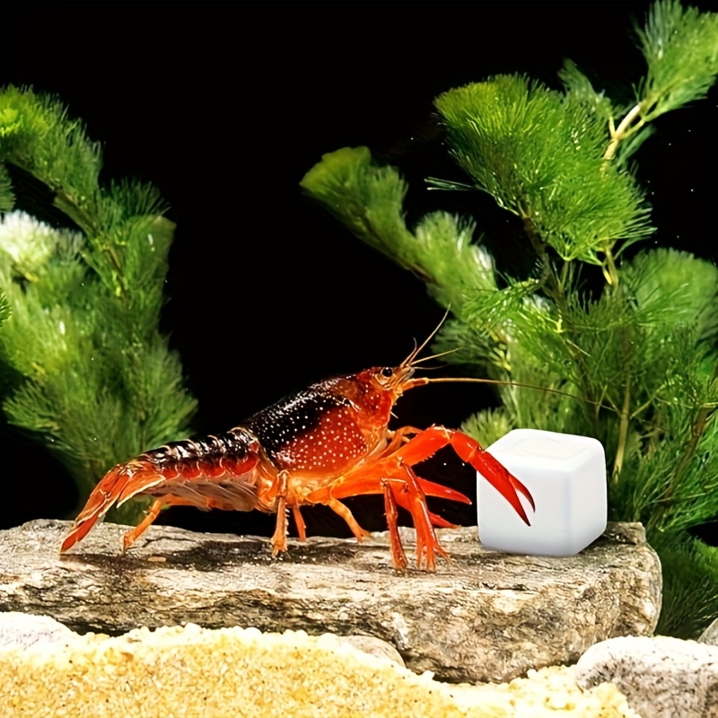 6 Pcs Fish Tank Calcium Block  - Aquarium Plant Live 评论和价格