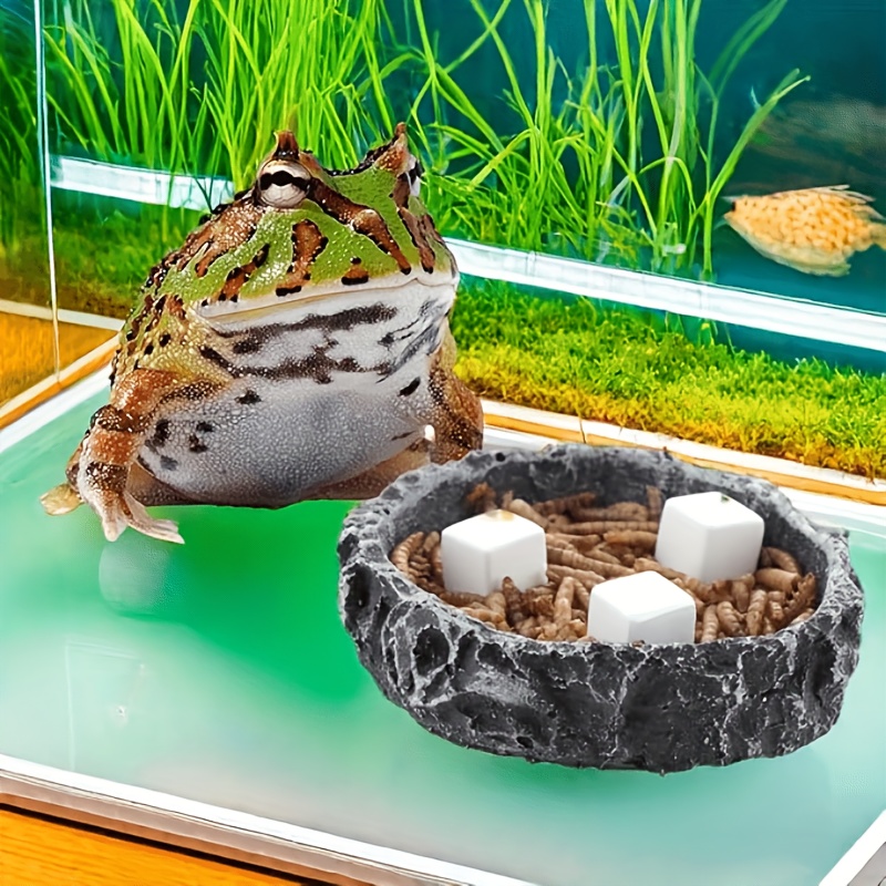 6 Pcs Fish Tank Calcium Block  - Aquarium Plant Live 评论和价格