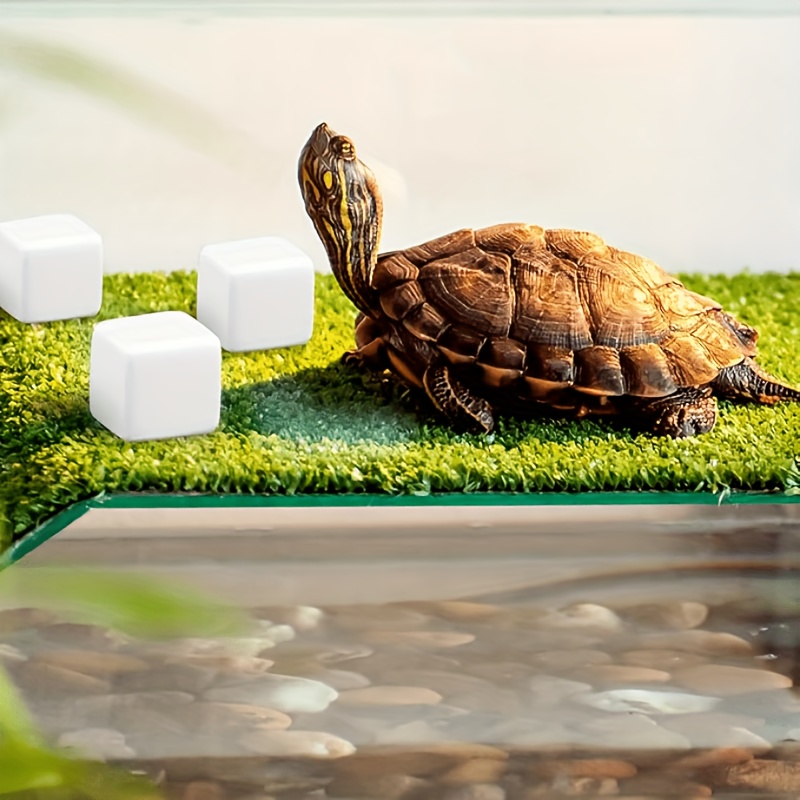 6 Pcs Fish Tank Calcium Block  - Aquarium Plant Live 评论和价格