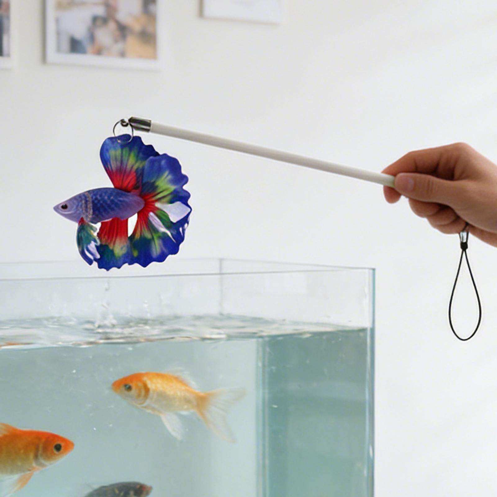 Fish Training Stick Realistic  - Planted Aquarium For Beginners 评论和价格