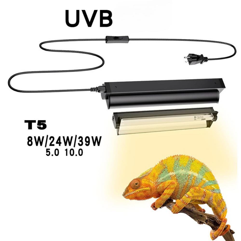 Planted and Reptile Terrarium  - Led Planted Tank Light 评论和价格